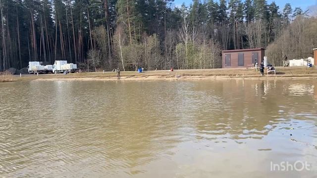 Ежедневный запуск форели