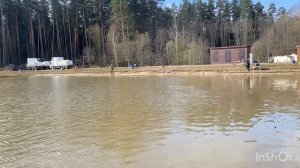 Ежедневный запуск форели