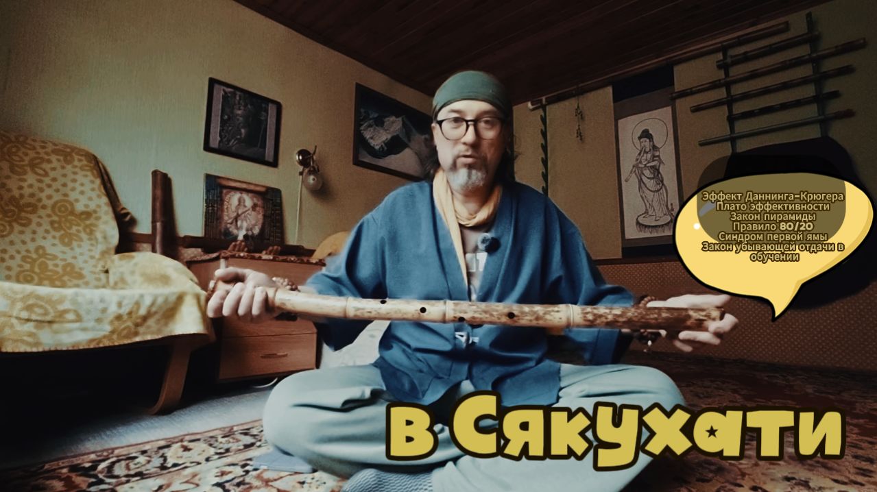 Плато эффективности и Закон пирамиды в контексте Сякухати