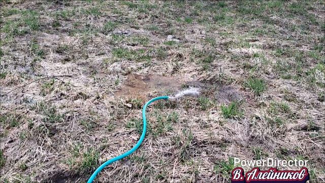 Дачный сезон открыт...