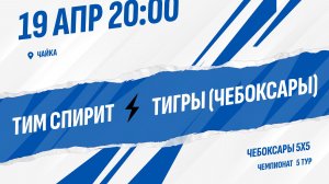 Тим Спирит - Тигры