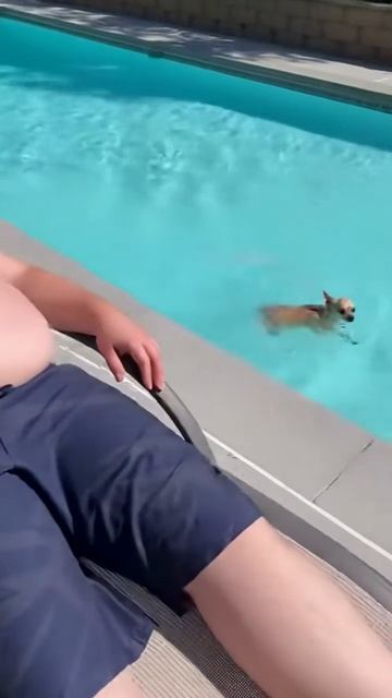 She Is A Master Diver😂