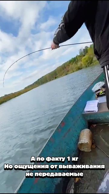 ЩУКА 1КГ НА СПИНИНГ 1-7g