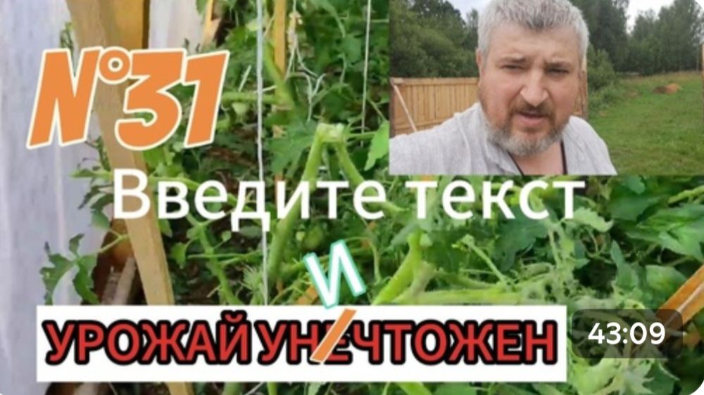 N°31. УНИЧТОЖЕНИЕ ОГОРОДА || ЛИВЕНЬ И ГРАД ДЕЛАЮТ СВОЮ РАБОТУ || ЖИЗНЬ В ДЕРЕВНЕ #деньвдеревне #дача