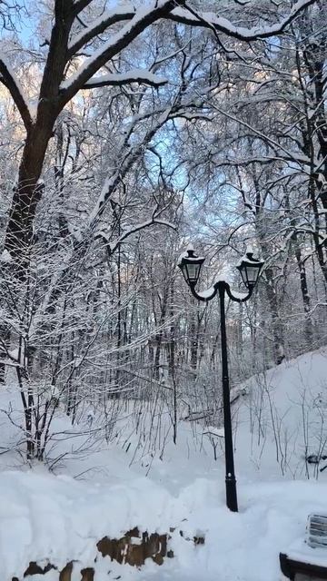 Зима в парке. 2026 г. 20