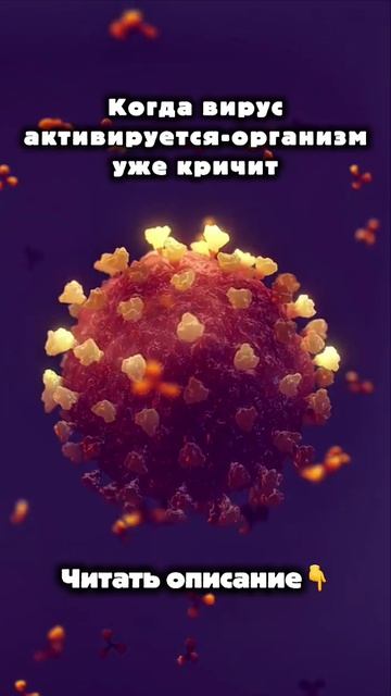 Читать описание 👇