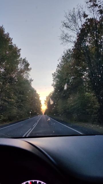 приятно ехать по жигулевскому заповеднику