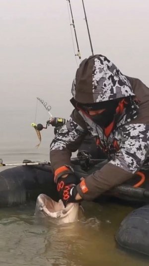 Клип @zatropheem