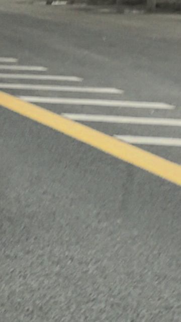 Petal_20260419_231342.mp4