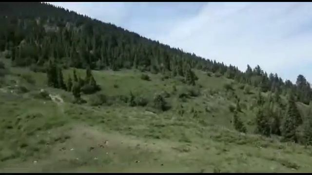 26 июля 2019 г.