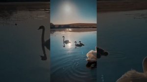 За рекой проснулись птицы певчие