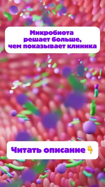 👇Читать описание👇