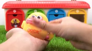 Asmr. Видео для детей. Нэвкин тв.(45)