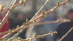 Синоптики предупредили о ледяных дождях в Москве