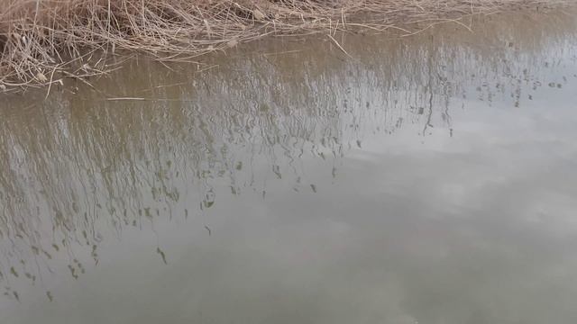 рыбалка в Астрахани 2026г полное видео второго дня, выход в жилку.