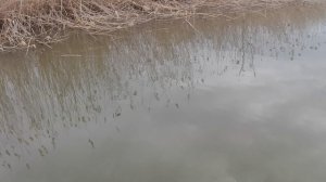 рыбалка в Астрахани 2026г полное видео второго дня, выход в жилку.