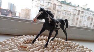 Викторина🏇