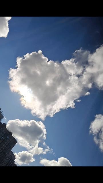 4_5991151328317934116