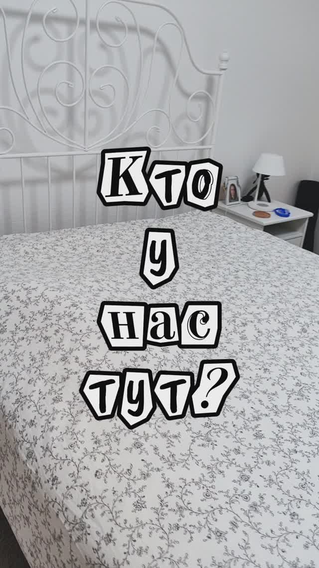 Сергей и Алиса | История двух сердец | Мисти | Кто у нас тут?