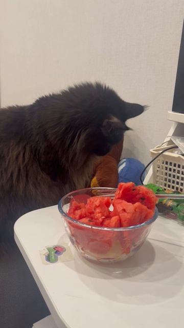 Когда пойман на воровстве