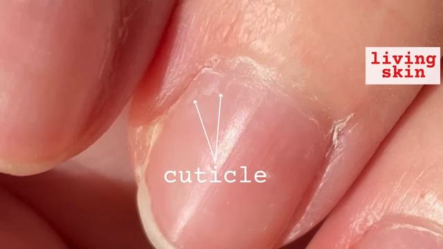 3 simple habits that will transform your nails