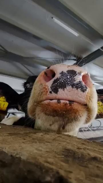 Ах какая женщина