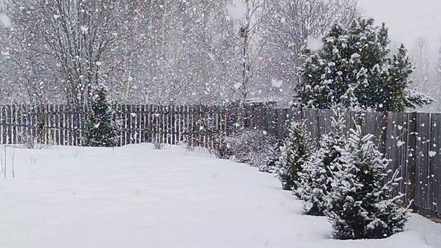 ну очень снежный апрельский день