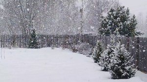 19 апреля. Ну очень снежный апрельский день