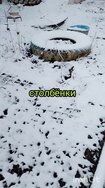 С новым снегом!!!