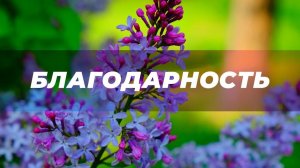Благодарность | Саблиминал