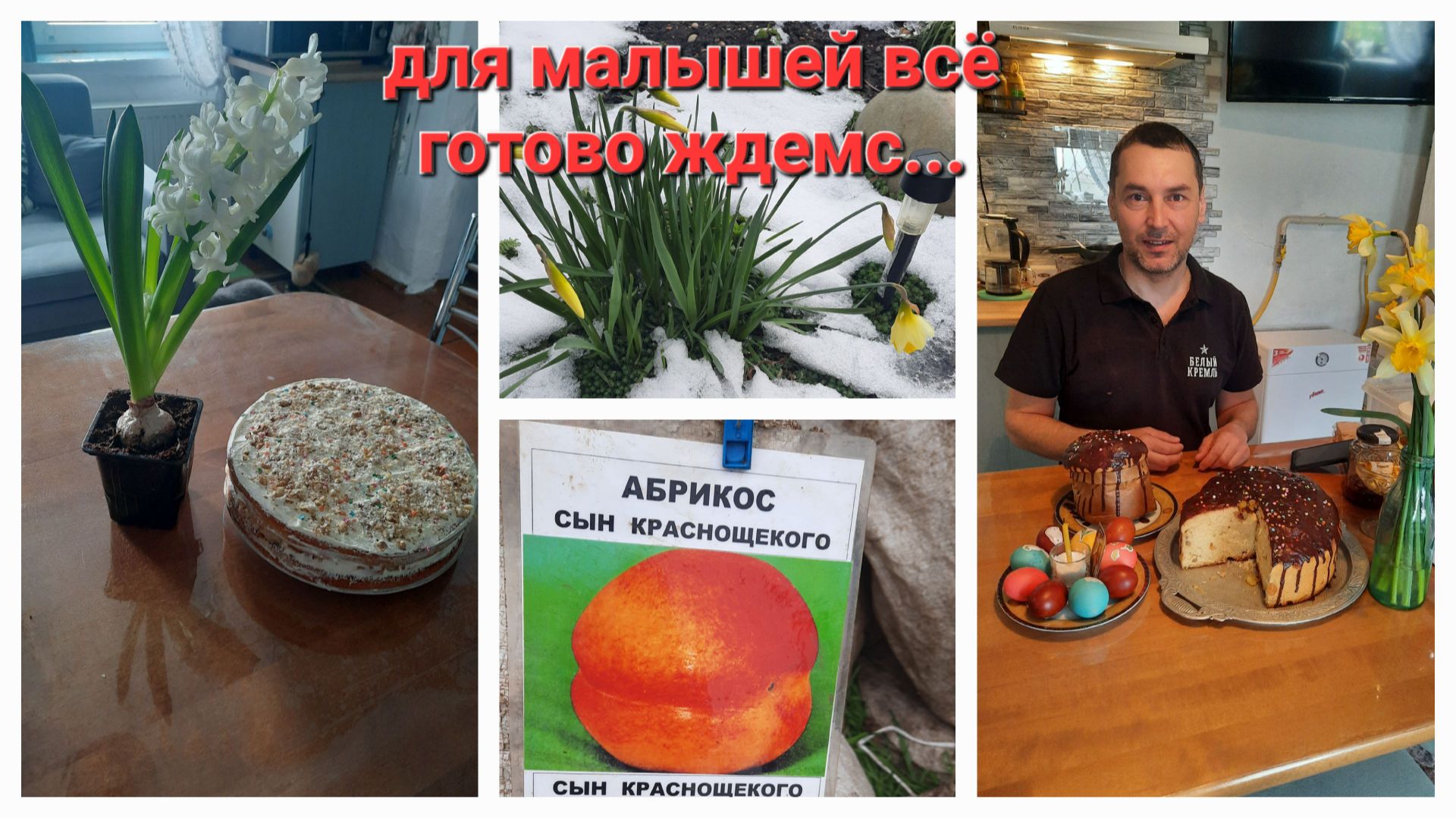 57. Сделали клетки для бройлеров. Курятник готов! Первые саженцы на участке.