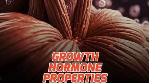 ПРЕКРАТИТЕ ЭТО делать, если хотите нарастить мышечную массу Доктор Берг