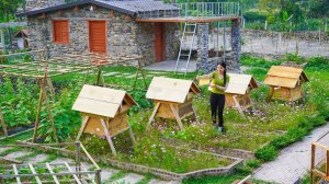 Сбор дикого меда: Разведения диких пчел в деревянных ульях, установленных среди цветочного сада.