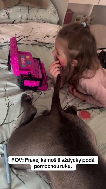 Видео от Департамент Вирусного Контента | ДВК