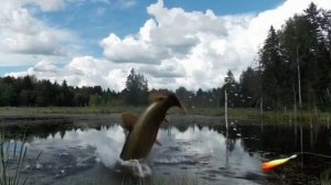 Рыбалка в Средилесье глазами Алисы.