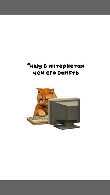 Алфавишки✨