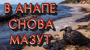 В АНАПЕ СНОВА МАЗУТ! ЧТО БУДЕТ С КУРОРТНЫМ СЕЗОНОМ?