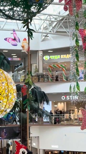 Как украсили Красную площадь в Краснодаре