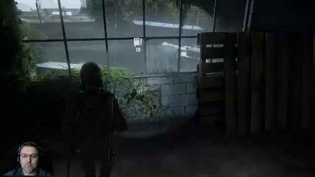 The Last Of Us Part II Remastered