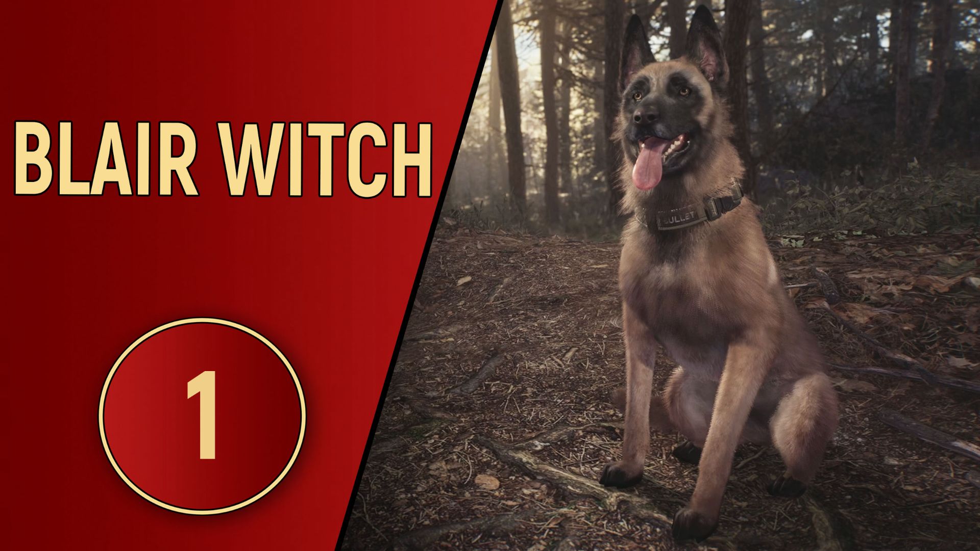 BLAIR WITCH 2019 - ЧАСТЬ 1 - ПРОГУЛКА В ЛЕСУ