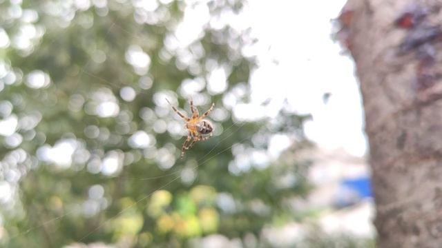 Один из дней города Евпатории | 29 сентября 2021 г | Крым ХАН БАТОН XAH 6ATOH | VID_20210929_151503