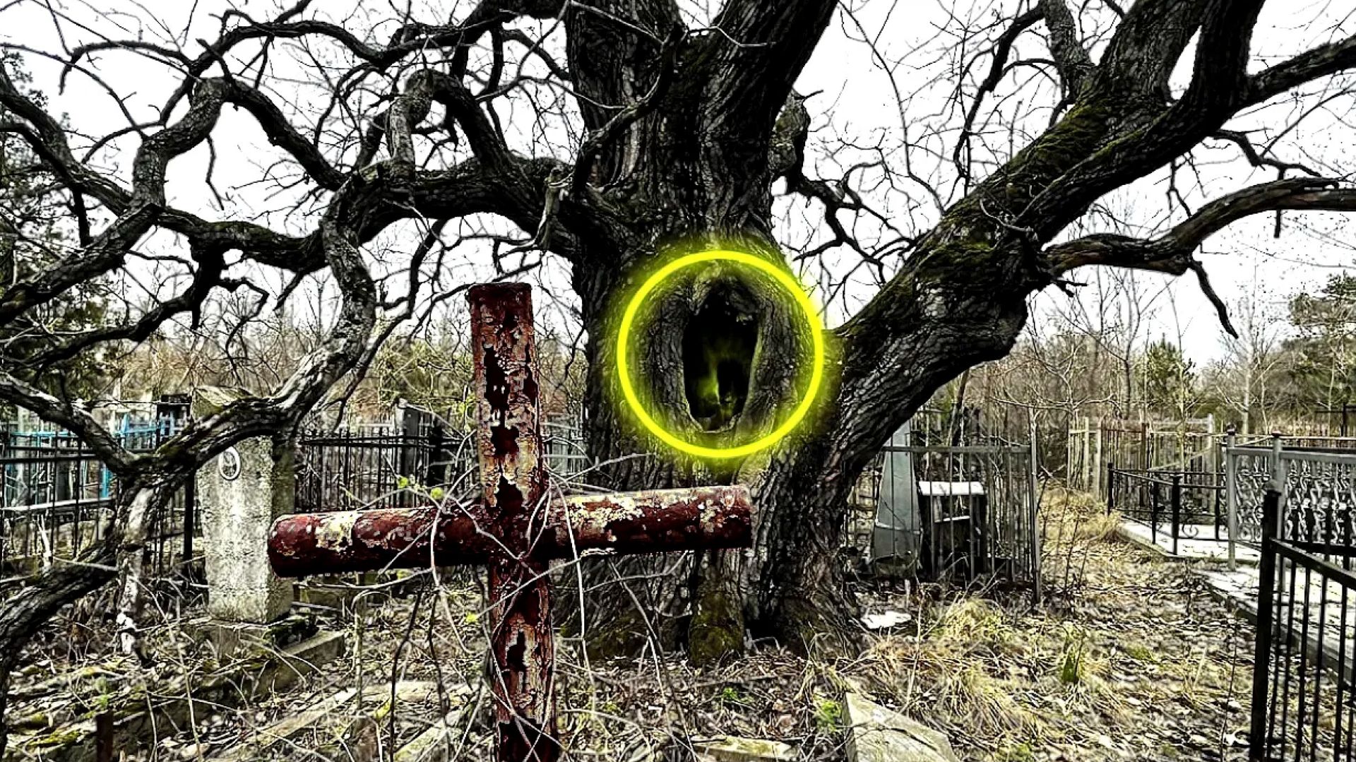 Я НЕ ОЖИДАЛ ЭТОГО УСЛЫШАТЬ... Что скрывает этот участок КЛАДБИЩЕ МИСТИЧЕСКОЕ