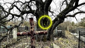 Я НЕ ОЖИДАЛ ЭТОГО УСЛЫШАТЬ... Что скрывает этот участок КЛАДБИЩЕ МИСТИЧЕСКОЕ