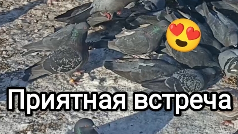 19-04-2026. Приятная встреча / Красотка слезла с яиц.