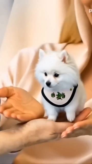 сумки ручной работы