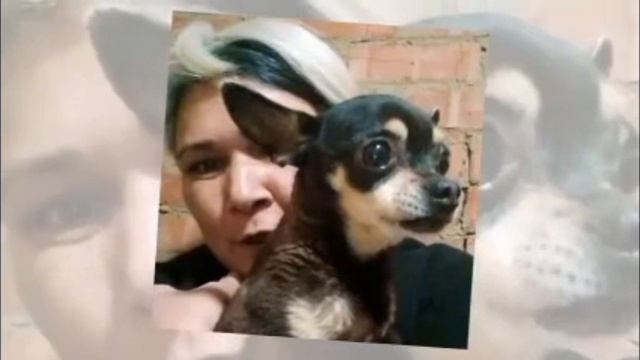 ОСНОВАТЕЛЮ ПРИЮТА АНАНДА СЕГОДНЯ 50