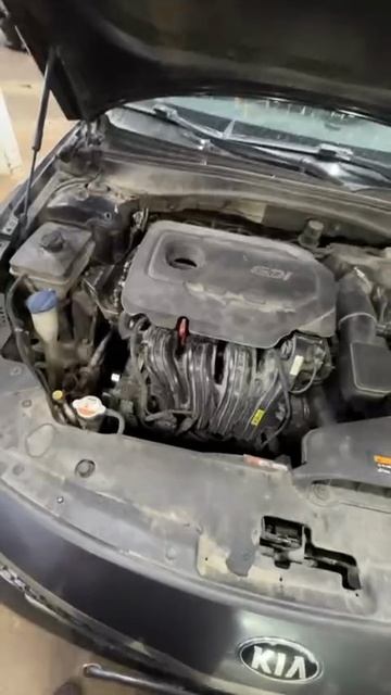 ☝️Вот тебе и китайский новый мотор 🤦🏼♂️ Авито вам в помощь KIA Optima