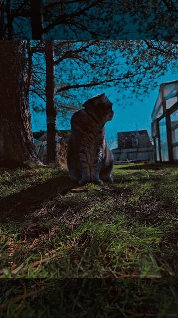 моя прелесть 😍