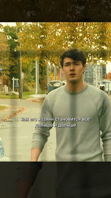 хороший фильм на вечер