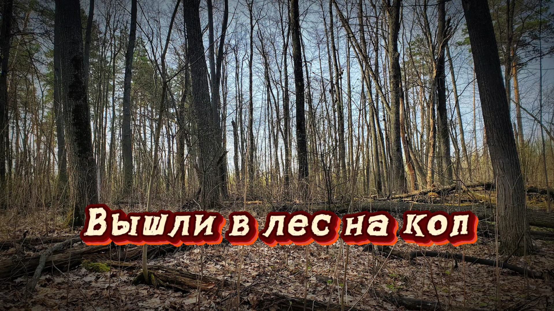 Лесной коп. Вышли на поиски артефактов.